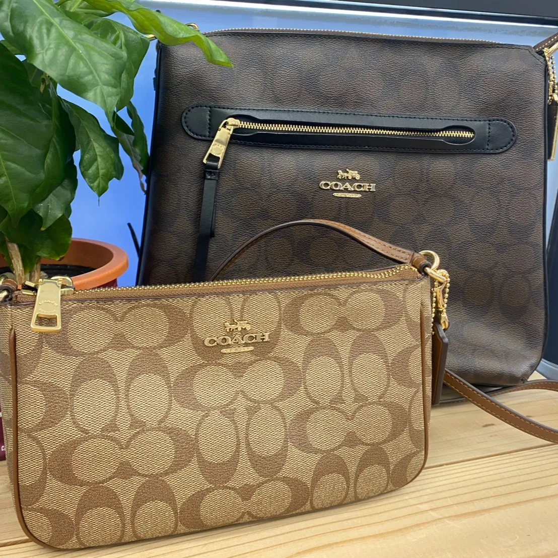 今月はブランド品高価買取実施中🔥🔥🔥